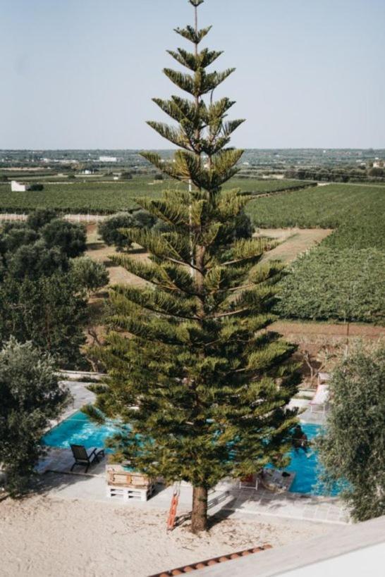 Masseria Macchiarola Lizzano  Kültér fotó